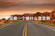 梦见偷一个猪什么意思啊(梦见偷猪是什么意思是什么)