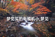 梦见买的电视机小,梦见买电视机小的换大的