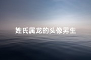 姓氏属龙的头像男生
