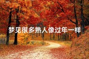 梦见很多熟人像过年一样(梦见都是熟人熟人)
