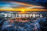 梦见山上捡到谷子是什么意思-梦见山上捡到谷子是什么意思啊