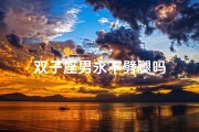 双子座男永不劈腿吗