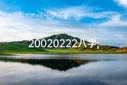 20020222八字;20021027八字命盘：揭秘命运之谜