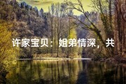 许家宝贝：姐弟情深，共谱人生华章