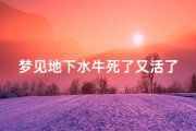 梦见地下水牛死了又活了—梦见水牛死了是什么预兆