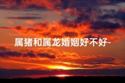 属猪和属龙婚姻好不好-属猪属龙女配吗？爱情运势揭秘