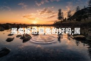 属兔嫁给属兔的好吗;属兔嫁龙：佳偶天成，情意绵绵