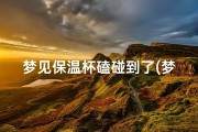 梦见保温杯磕碰到了(梦见保温杯打碎了)