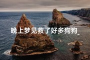晚上梦见救了好多狗狗_晚上梦见救了好多狗狗好不好