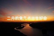 二月的兔几点出生好命
