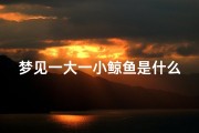梦见一大一小鲸鱼是什么预兆—梦见一大一小鲸鱼是什么预兆周公解梦