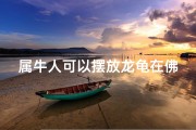 属牛人可以摆放龙龟在佛龛吗为什么、属牛人摆放龙龟在佛龛适宜吗？
