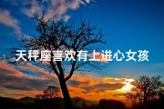 天秤座喜欢有上进心女孩吗