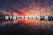 双子座白羊座相配吗—双子座白羊座：天生绝配的火花碰撞