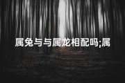 属兔与与属龙相配吗;属兔与属龙：天生佳偶，缘定三生