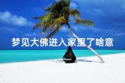 梦见大佛进入家里了啥意思(梦里梦见大佛)