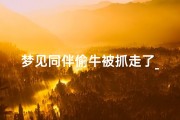 梦见同伴偷牛被抓走了_梦见贼偷牛被自己发现