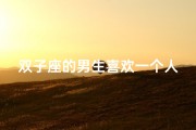 双子座的男生喜欢一个人会去追吗_双子座男生追爱行动：勇敢出击还是默默守护？