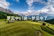 梦见中61块—梦见中了170060还拿不回来
