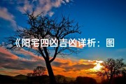 《阳宅四凶吉凶详析：图解大全全揭秘》