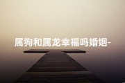 属狗和属龙幸福吗婚姻-属狗属龙婚姻幸福指数揭秘