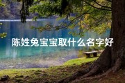 陈姓兔宝宝取什么名字好呢、陈姓宝宝取名宝典