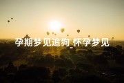 孕期梦见追狗_怀孕梦见追狗
