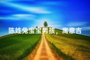 陈姓兔宝宝男孩，寓意吉祥的名字推荐