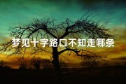 梦见十字路口不知走哪条路;做梦梦见十字路口