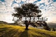 双子座：揭秘龙族血脉之谜