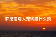 梦见偷别人宠物猫什么预兆,梦见偷别人家猫