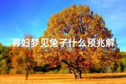 寡妇梦见兔子什么预兆解梦、女人梦见兔子什么预兆