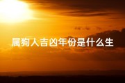 属狗人吉凶年份是什么生肖—属狗人吉凶年份是什么生肖呢