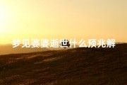 梦见婆婆逝世什么预兆解梦;梦见婆婆逝世什么预兆解梦女性