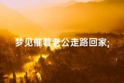 梦见催着老公走路回家;梦见催着老公走路回家什么意思