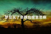 梦见买了串鞭炮啥意思啊、梦见买了串鞭炮啥意思啊周公解梦