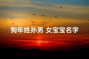 狗年姓孙男 女宝宝名字