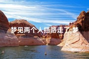 梦见两个人挡路走了;梦到人挡路