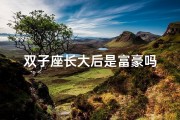 双子座长大后是富豪吗