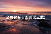 公司起名吉凶测试三藏(公司起名三藏网)