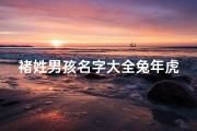 褚姓男孩名字大全兔年虎宝宝
