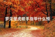 梦见壁虎咬手指甲什么预兆—梦见壁虎咬住自己不放