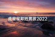 虎宝宝郑姓男孩2022年名字