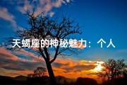 天蝎座的神秘魅力：个人能力成就非凡