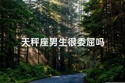 天秤座男生很委屈吗