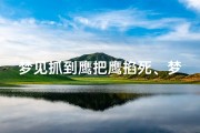 梦见抓到鹰把鹰掐死、梦见鹰把自己抓走了