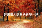 梦见僧人摸我头算命—梦到僧人为我算卦