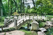 十二生肖鼠跟龙相配吗(《鼠龙配对：生肖情缘的奇妙组合》)