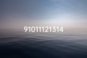 91011121314151617九公格_《九公格女命八字详析：揭秘命运之谜》
