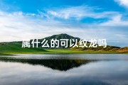 属什么的可以纹龙吗